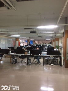 獨院5000平米廠辦標準研發樓出租——專注紡織品研發的理想場所